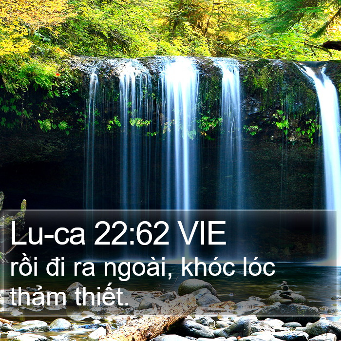 Lu-ca 22:62 VIE Bible Study