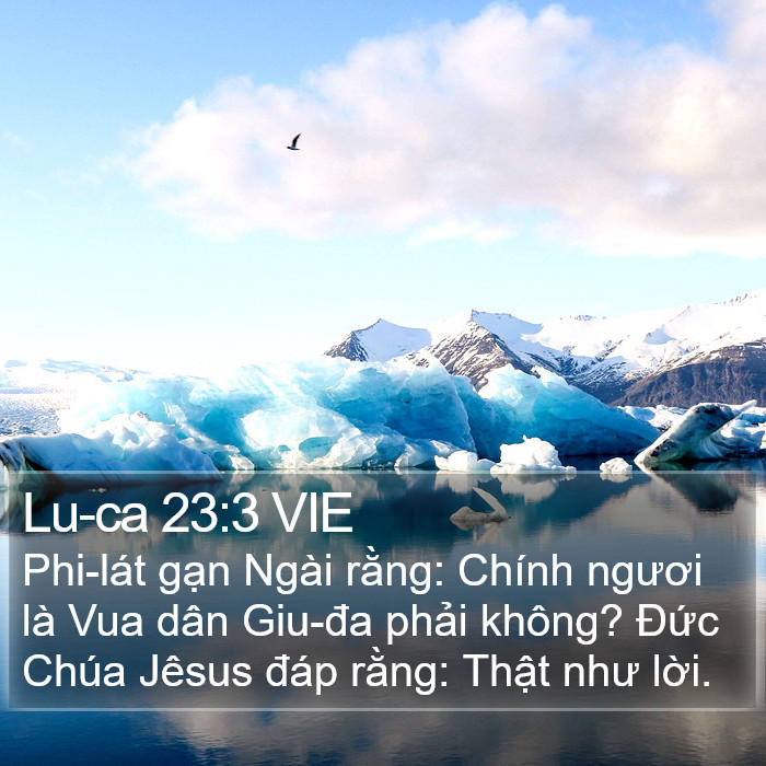 Lu-ca 23:3 VIE Bible Study