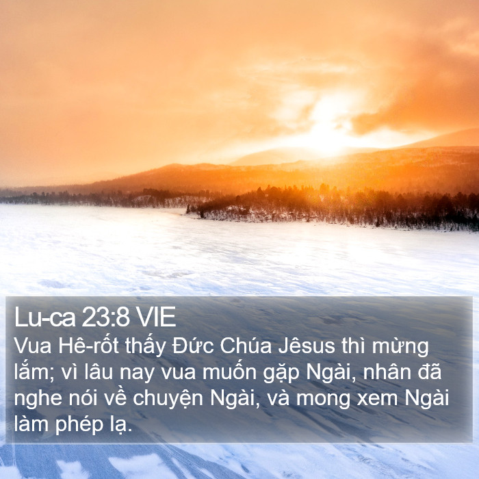 Lu-ca 23:8 VIE Bible Study