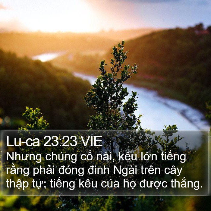 Lu-ca 23:23 VIE Bible Study