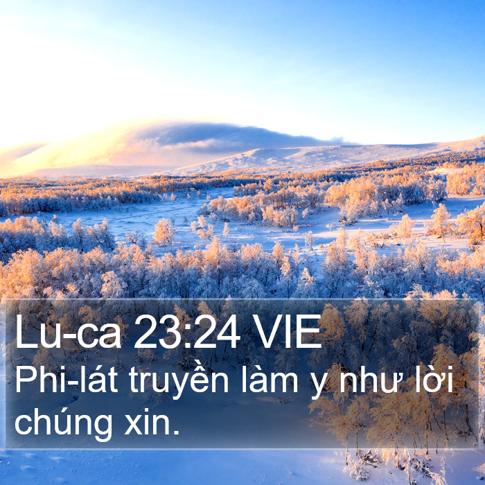 Lu-ca 23:24 VIE Bible Study