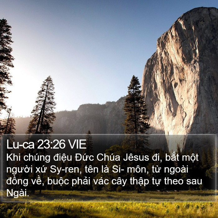 Lu-ca 23:26 VIE Bible Study