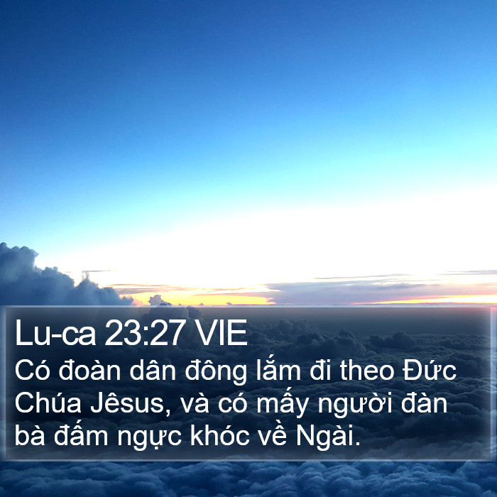 Lu-ca 23:27 VIE Bible Study