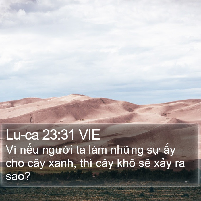 Lu-ca 23:31 VIE Bible Study