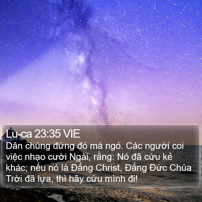 Lu-ca 23:35 VIE Bible Study