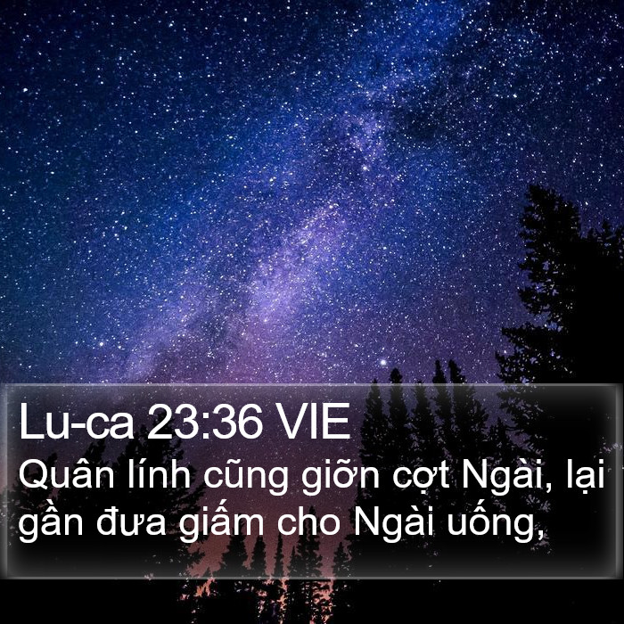 Lu-ca 23:36 VIE Bible Study