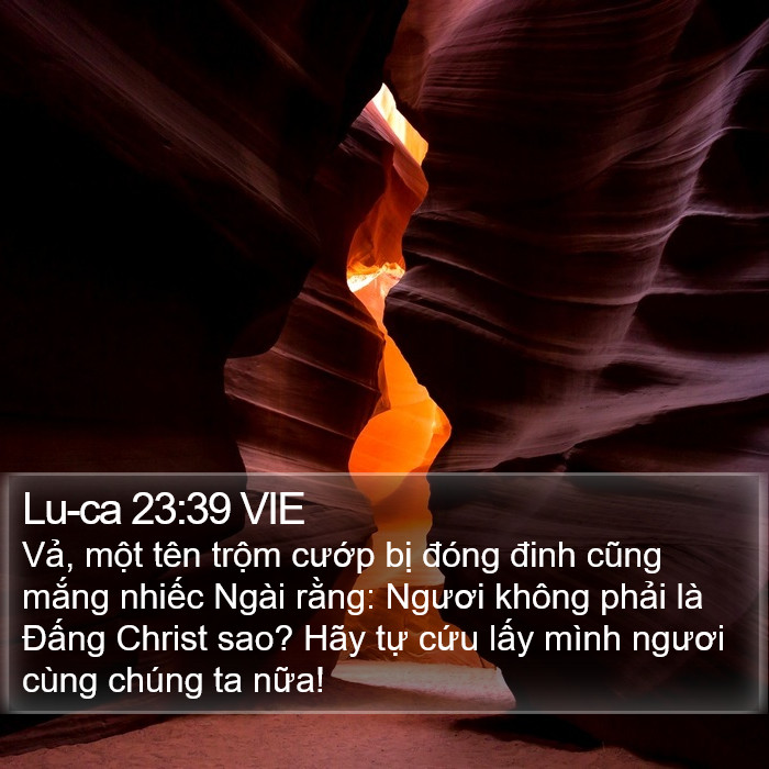 Lu-ca 23:39 VIE Bible Study