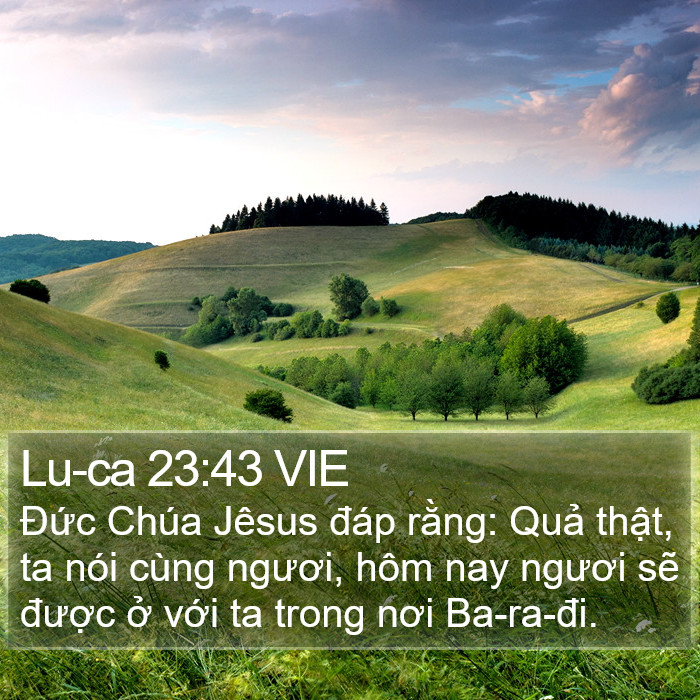 Lu-ca 23:43 VIE Bible Study