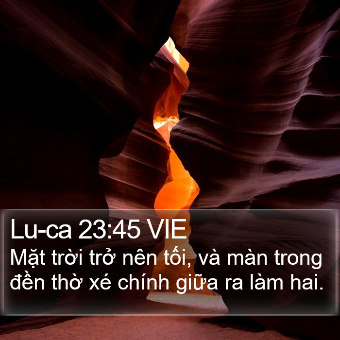 Lu-ca 23:45 VIE Bible Study