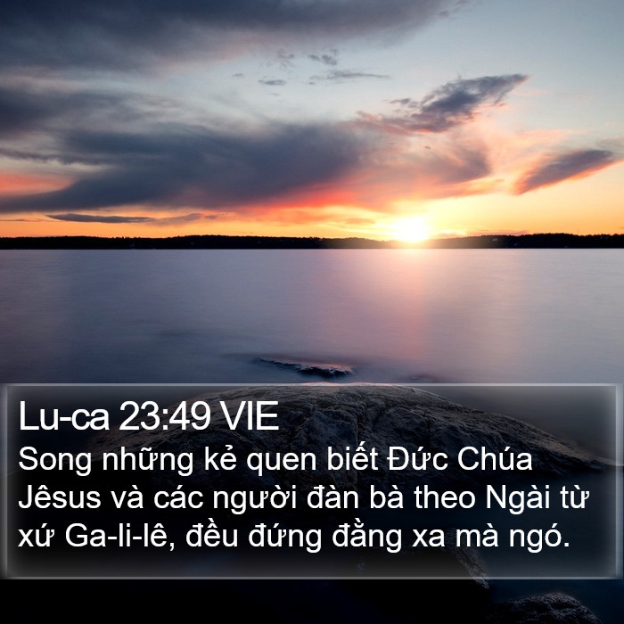 Lu-ca 23:49 VIE Bible Study