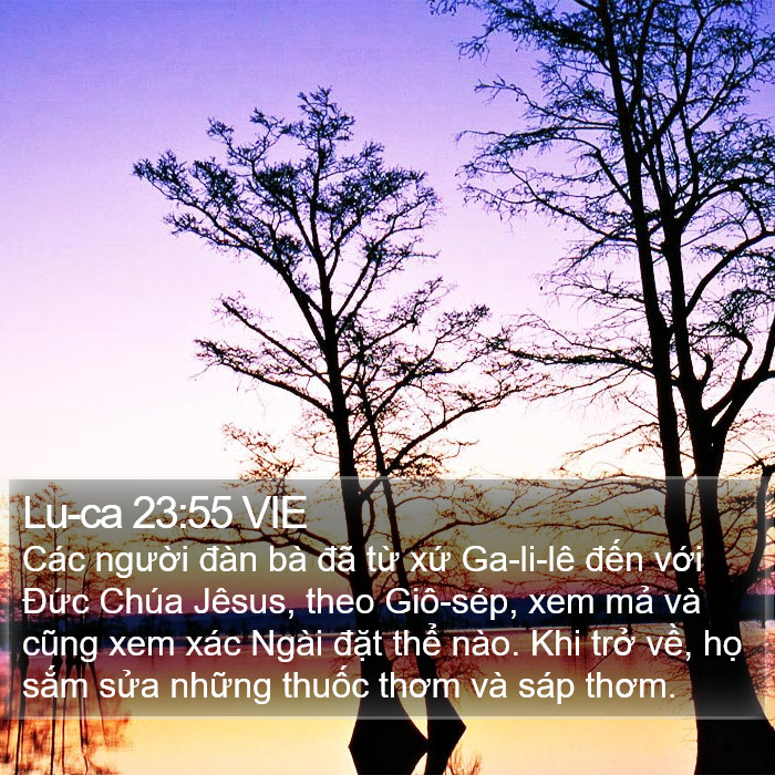 Lu-ca 23:55 VIE Bible Study