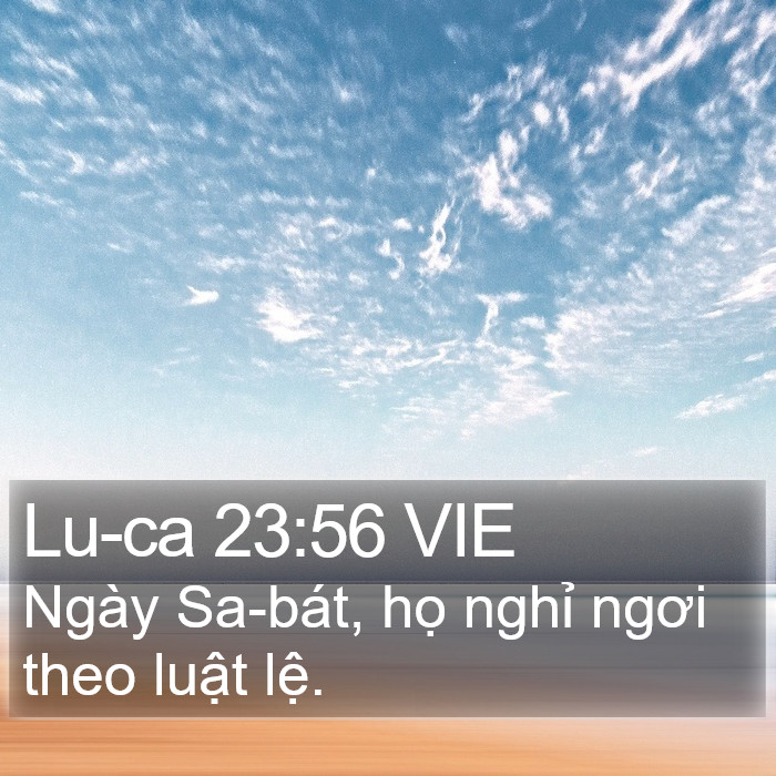 Lu-ca 23:56 VIE Bible Study