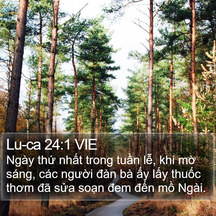 Lu-ca 24:1 VIE Bible Study