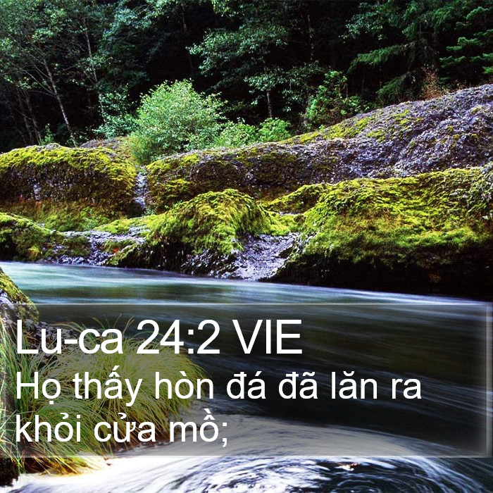 Lu-ca 24:2 VIE Bible Study