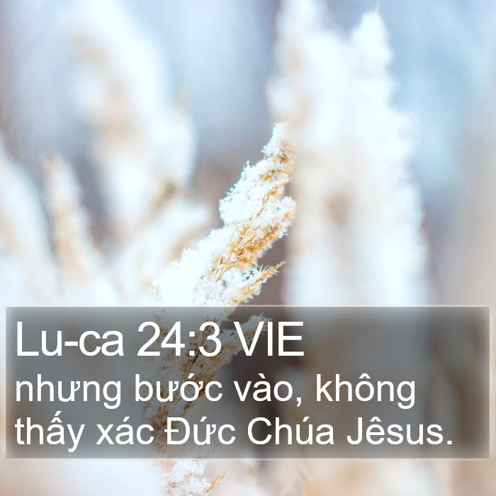 Lu-ca 24:3 VIE Bible Study