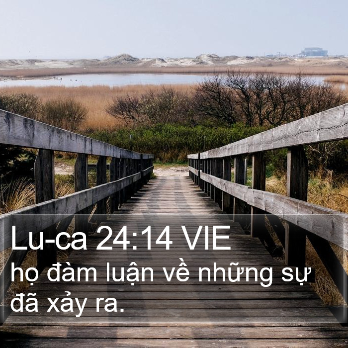 Lu-ca 24:14 VIE Bible Study