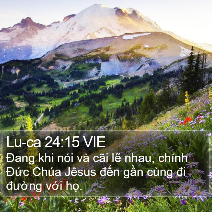 Lu-ca 24:15 VIE Bible Study