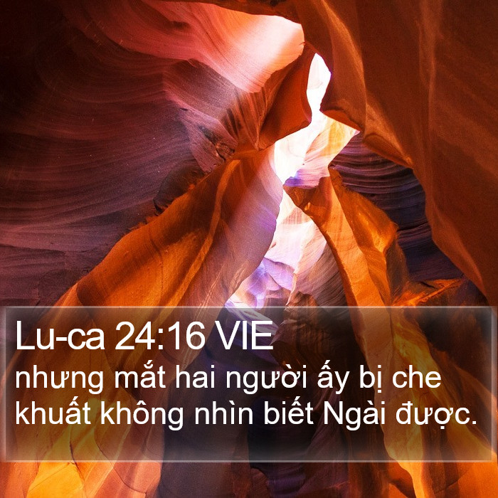 Lu-ca 24:16 VIE Bible Study