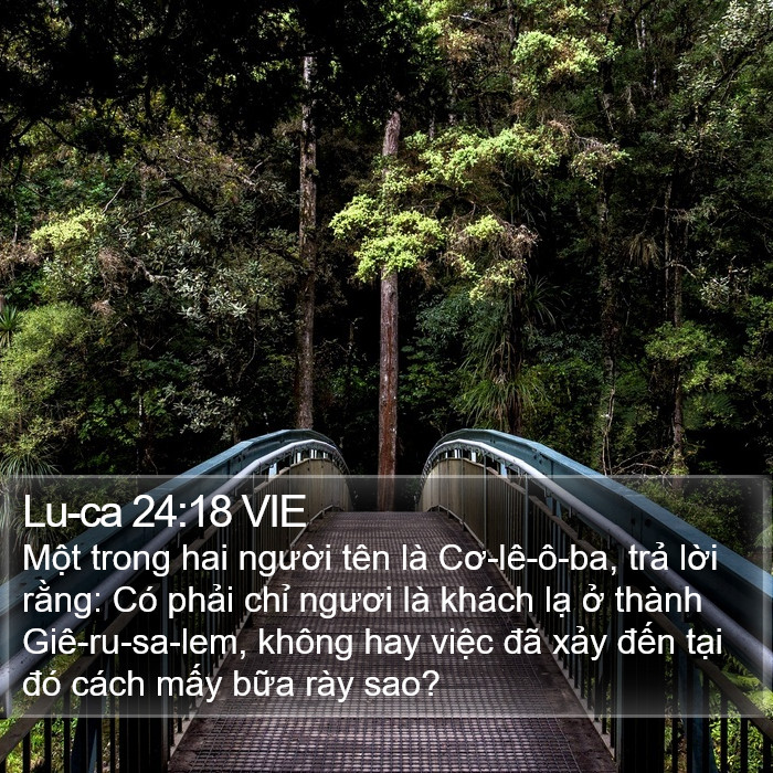 Lu-ca 24:18 VIE Bible Study