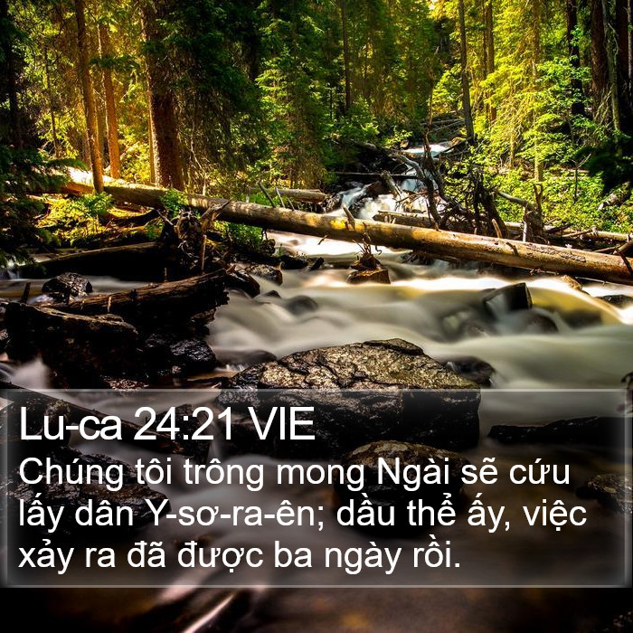 Lu-ca 24:21 VIE Bible Study