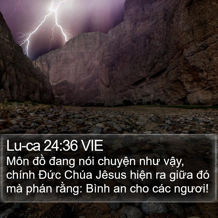 Lu-ca 24:36 VIE Bible Study