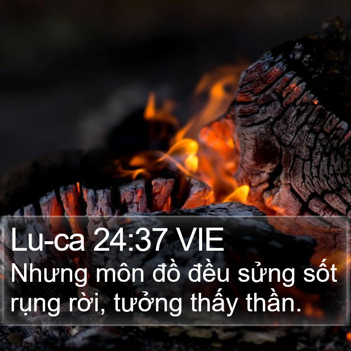 Lu-ca 24:37 VIE Bible Study