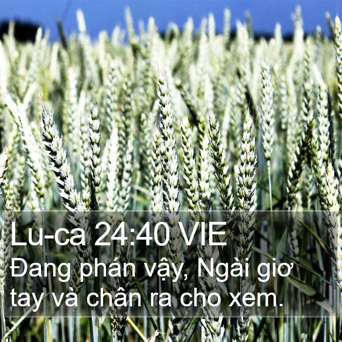 Lu-ca 24:40 VIE Bible Study