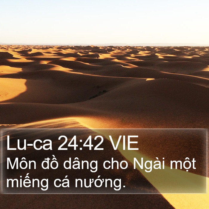 Lu-ca 24:42 VIE Bible Study