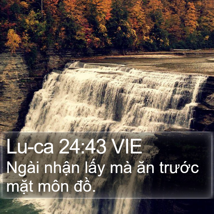 Lu-ca 24:43 VIE Bible Study