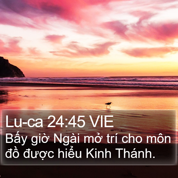 Lu-ca 24:45 VIE Bible Study