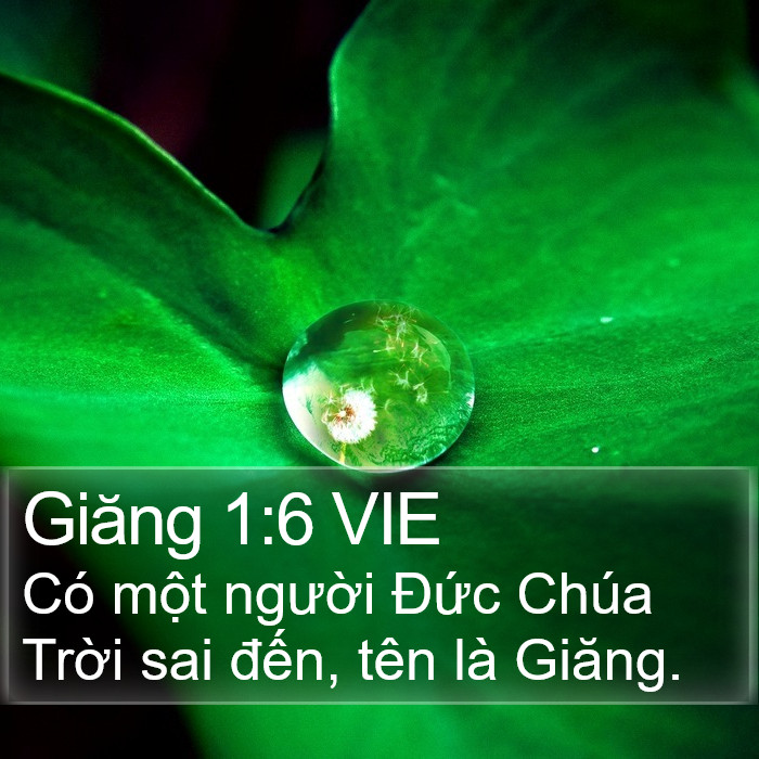 Giăng 1:6 VIE Bible Study