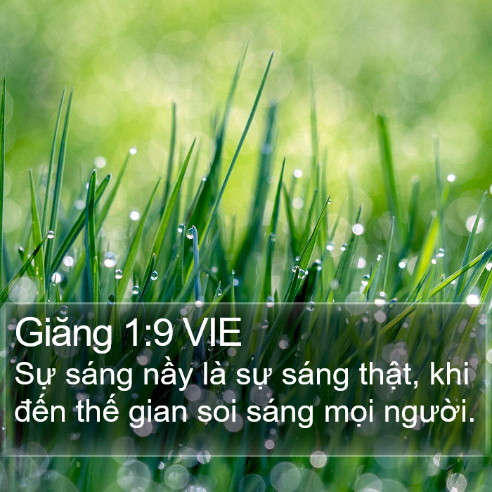 Giăng 1:9 VIE Bible Study