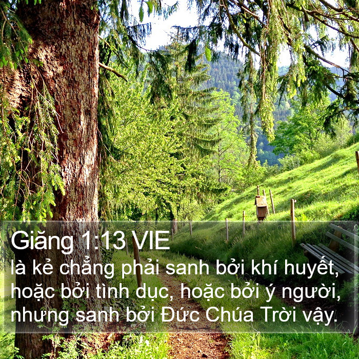 Giăng 1:13 VIE Bible Study