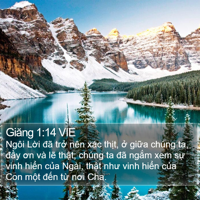 Giăng 1:14 VIE Bible Study