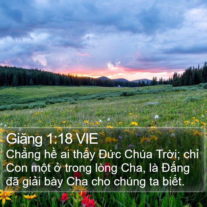 Giăng 1:18 VIE Bible Study