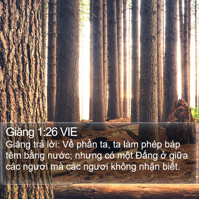 Giăng 1:26 VIE Bible Study