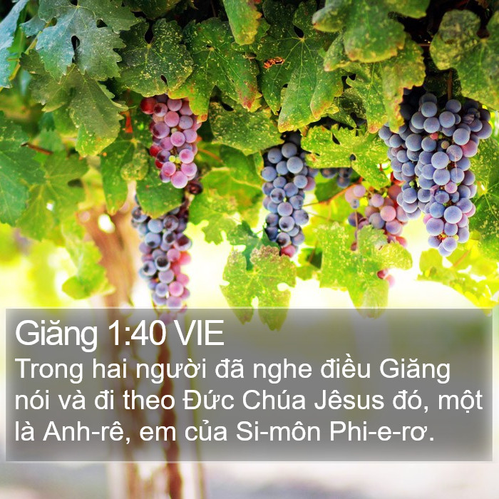 Giăng 1:40 VIE Bible Study