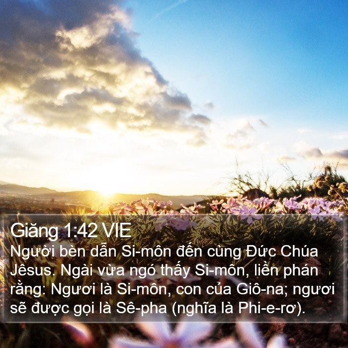 Giăng 1:42 VIE Bible Study