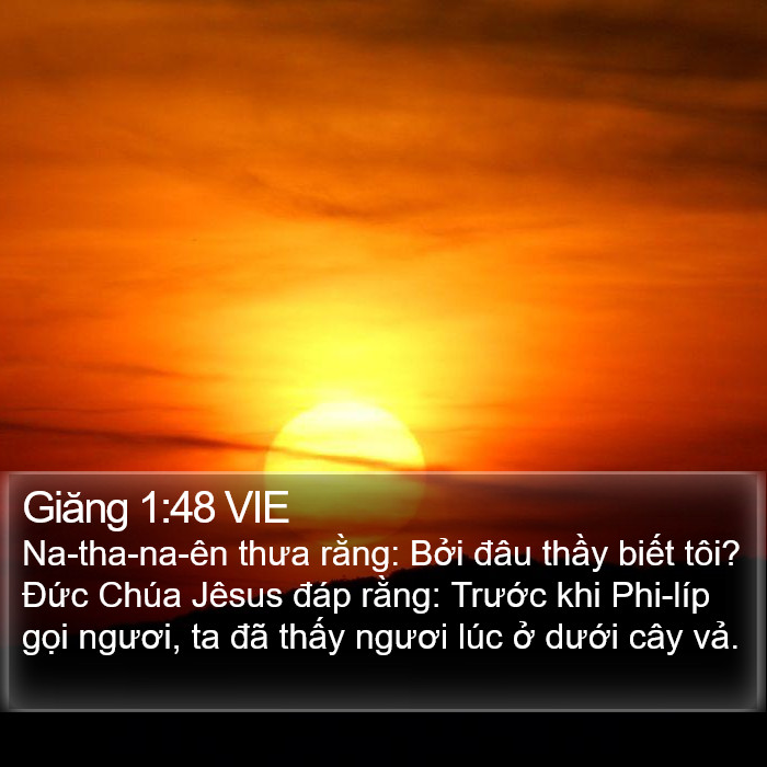 Giăng 1:48 VIE Bible Study