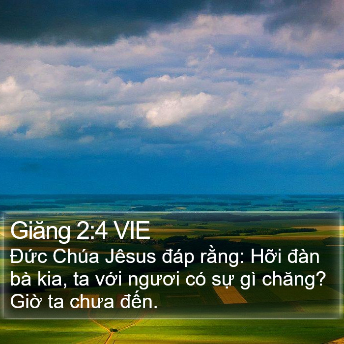 Giăng 2:4 VIE Bible Study