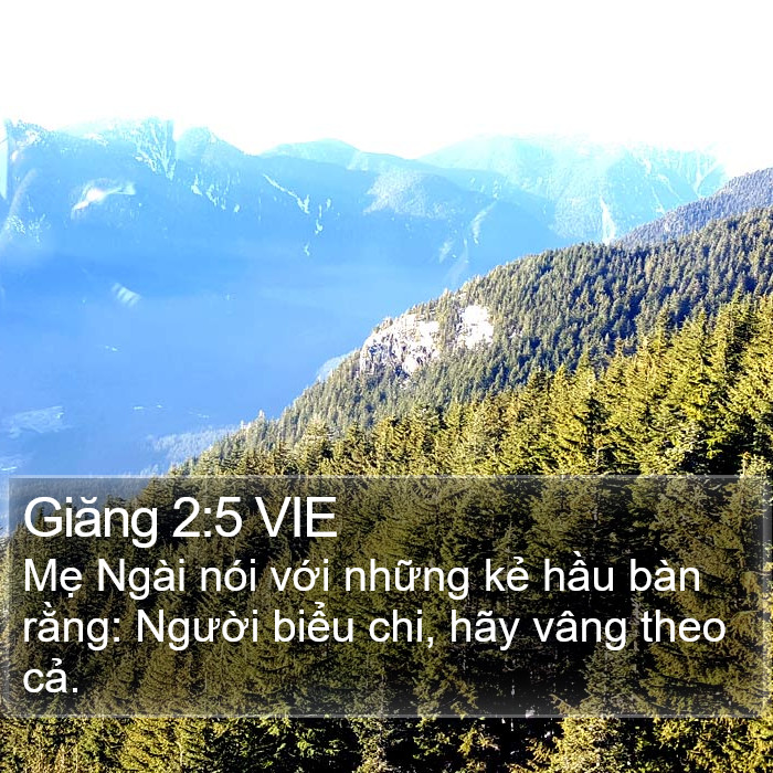 Giăng 2:5 VIE Bible Study
