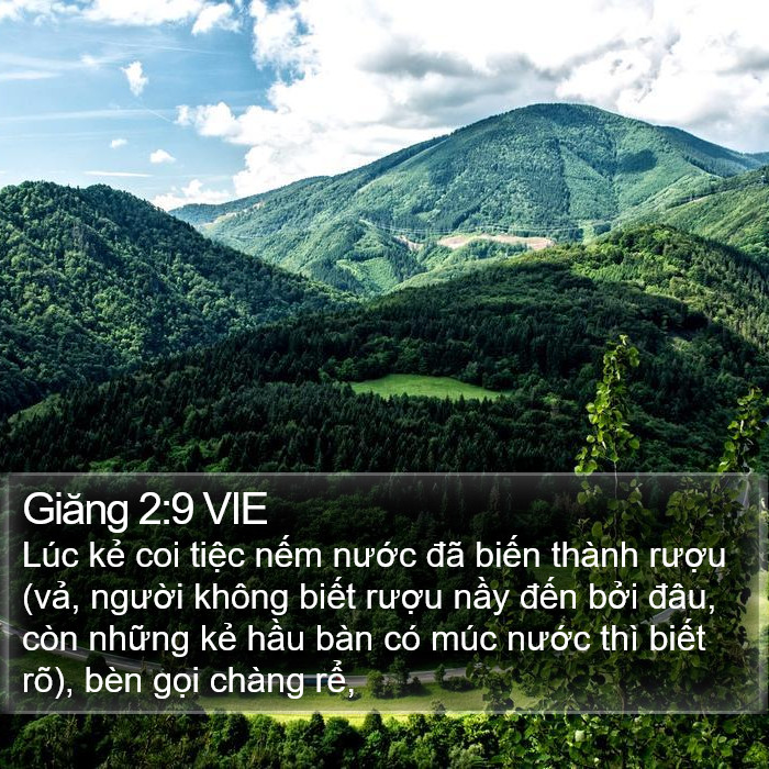 Giăng 2:9 VIE Bible Study