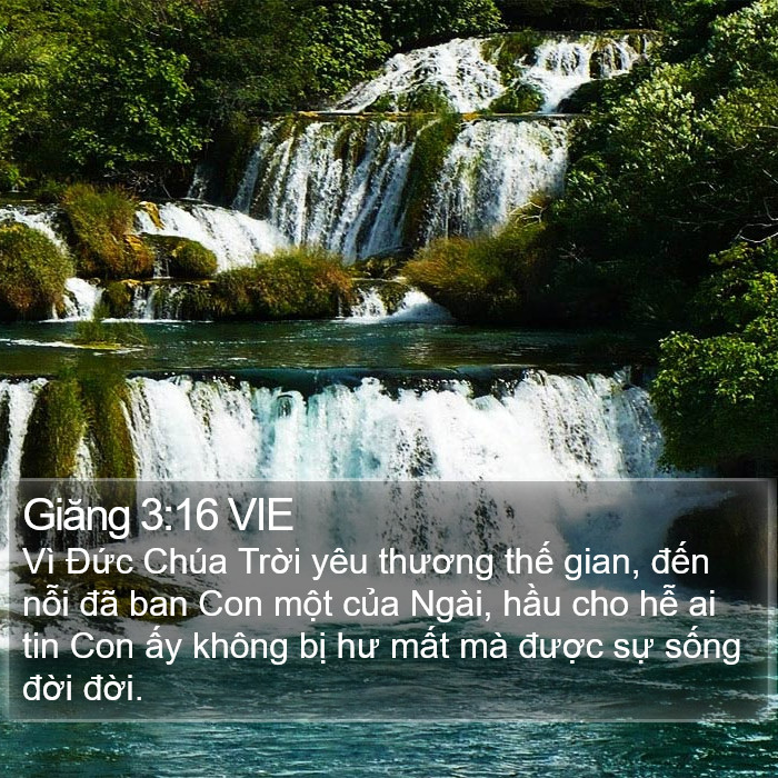 Giăng 3:16 VIE Bible Study