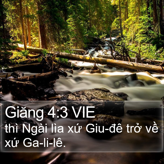 Giăng 4:3 VIE Bible Study