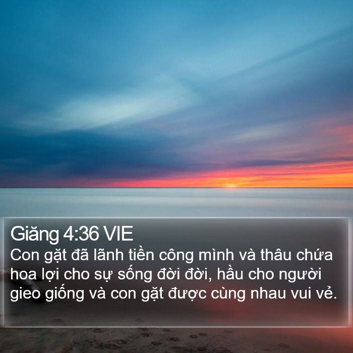 Giăng 4:36 VIE Bible Study