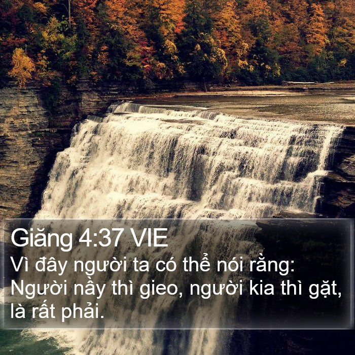 Giăng 4:37 VIE Bible Study