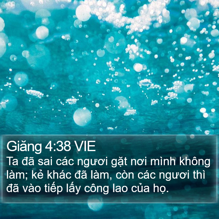 Giăng 4:38 VIE Bible Study