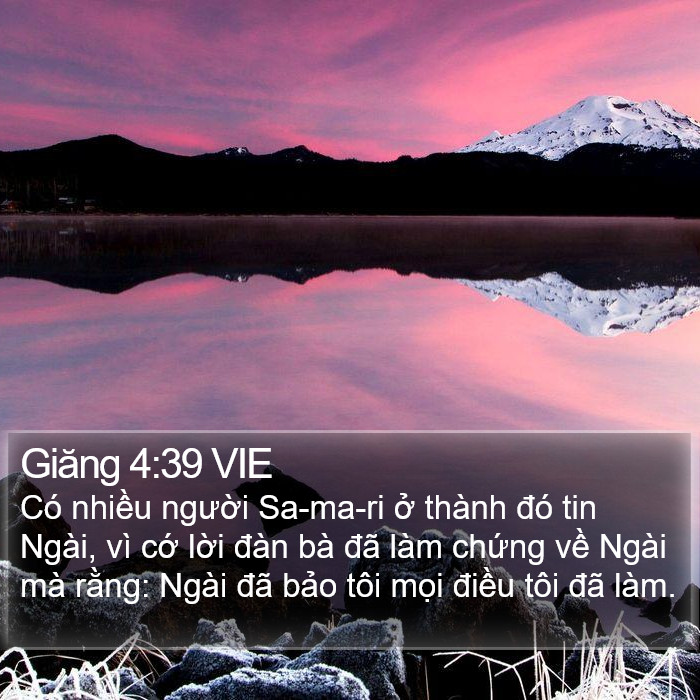 Giăng 4:39 VIE Bible Study