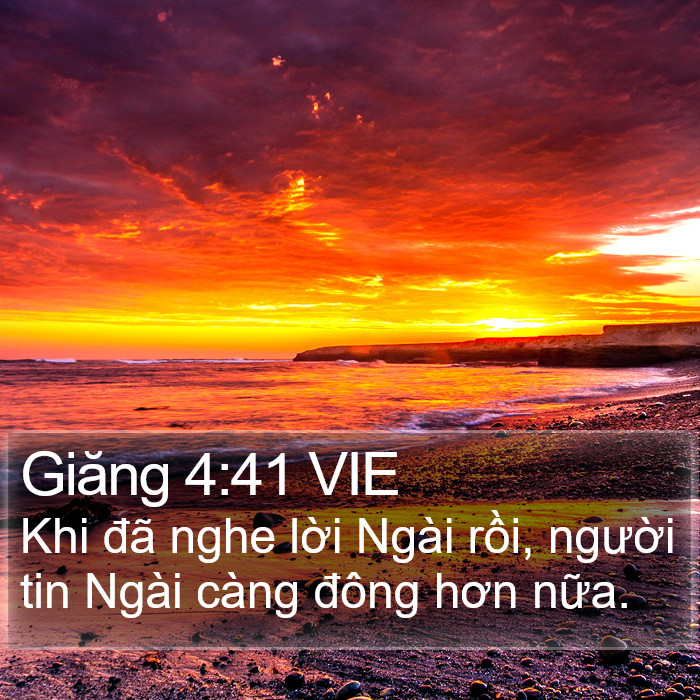 Giăng 4:41 VIE Bible Study