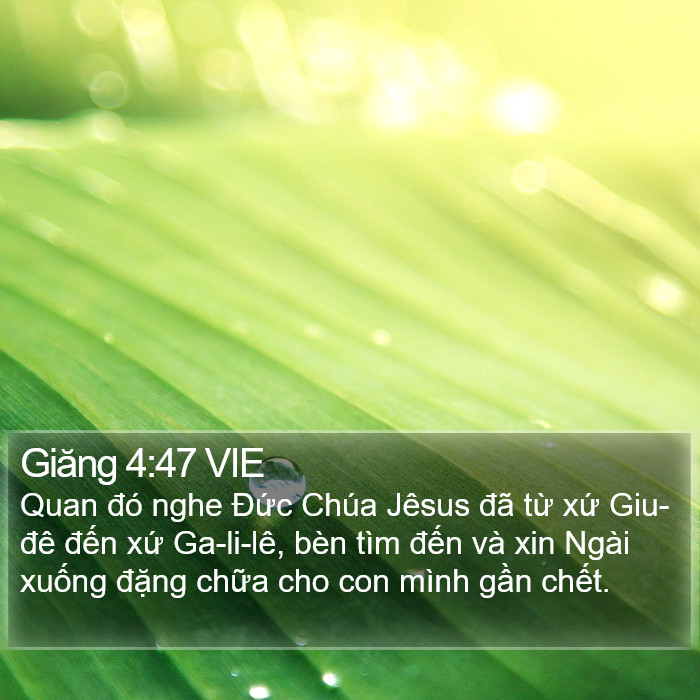 Giăng 4:47 VIE Bible Study